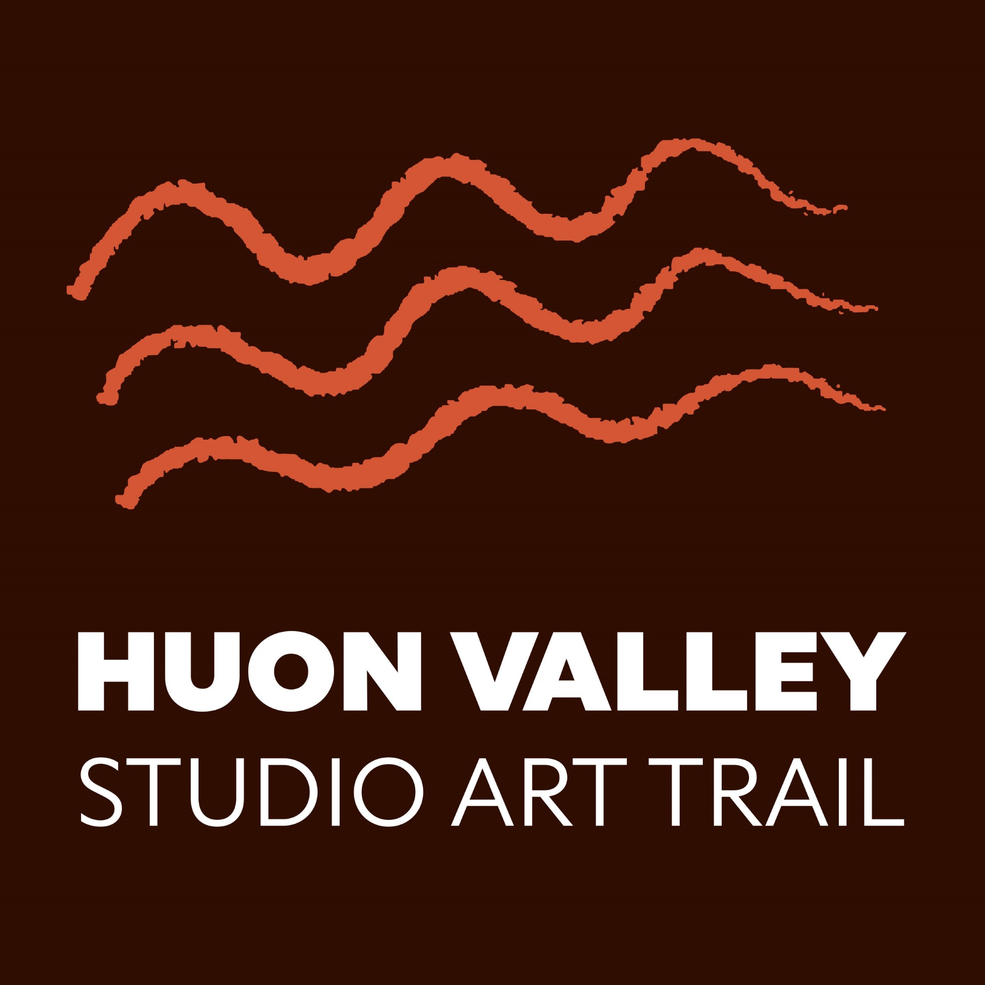 HVSAT logo